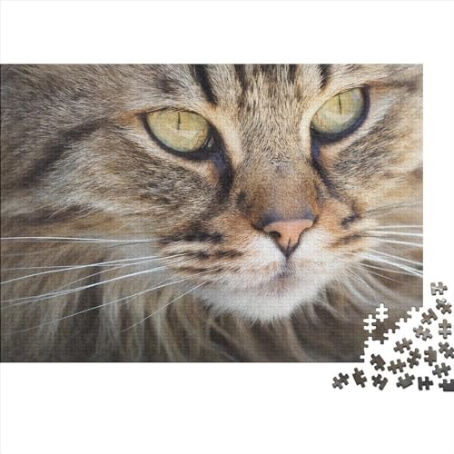 Katze Holzpuzzle 1000 Teile Geschenke Für Frauen, Haustiere Männer,Holzpuzzle Erwachsene 1000pcs (75x50cm) von XINCHENMM