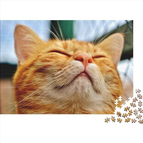 Katze Holzpuzzle 300 Teile Geschenke Für Frauen, Haustiere Männer,Holzpuzzle Erwachsene 300pcs (40x28cm) von XINCHENMM