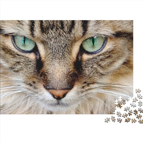 Katze Puzzle 1000 Teile Klassische Puzzle Erwachsene Haustiere Puzzle DIY Kit Holzspielzeug Einzigartiges Geschenk Moderne Wohnkultur 1000pcs (75x50cm) von XINCHENMM