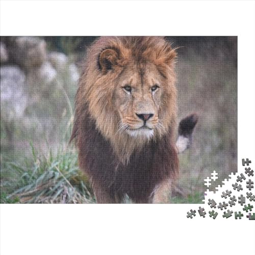 Löwe Puzzle 300 Teile Erwachsene 300 Teile Jigsaw Tiere Puzzles Für Wohnkultur Wandkunst 300pcs (40x28cm) von XINCHENMM