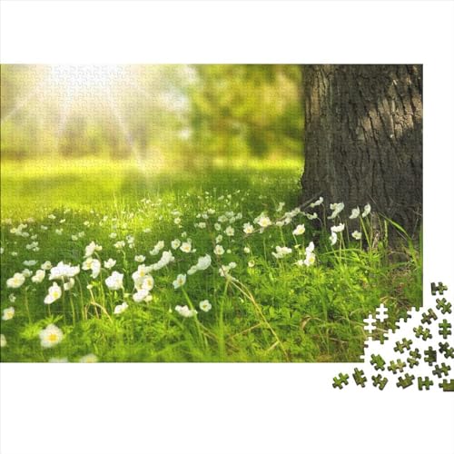 Natur Puzzle 1000 Teile Erwachsene 1000 Teile Jigsaw Puzzles Für Wohnkultur Wandkunst 1000pcs (75x50cm) von XINCHENMM