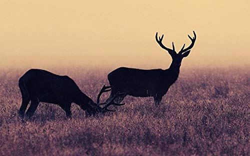XINNeck 1000 Pieces Wooden Jigsaw Puzzle，2 Deer in The Grass Children Jigsaw Puzzle Adults Puzzles Creative Games Wooden Puzzle Toys Classic von XINNeck