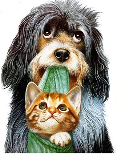 XINNeck 1000 Pieces Wooden Jigsaw Puzzle，Animal Dog and Cat Adults Jigsaw Puzzle Children Puzzles Creative Games Wooden Puzzle Toys Fashion von XINNeck