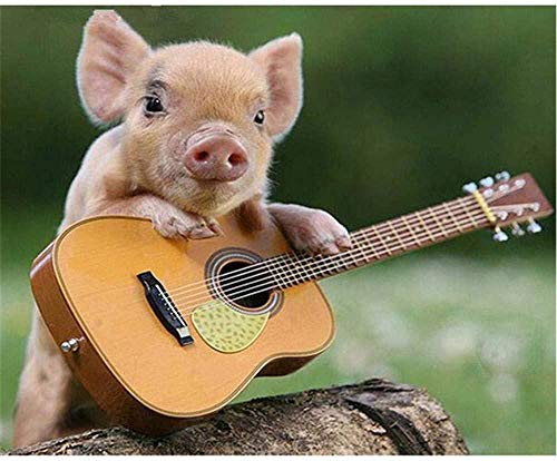 XINNeck 1000 Pieces Wooden Jigsaw Puzzle，Cute Pig Playing Guitar Children Jigsaw Puzzle Adults Puzzles Creative Games Wooden Puzzle Toys Fashion von XINNeck