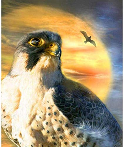 XINNeck 1000 Pieces Wooden Jigsaw Puzzle，Eagle and Sun Children Jigsaw Puzzle Adults Puzzles Creative Games Wooden Puzzle Toys Gift von XINNeck