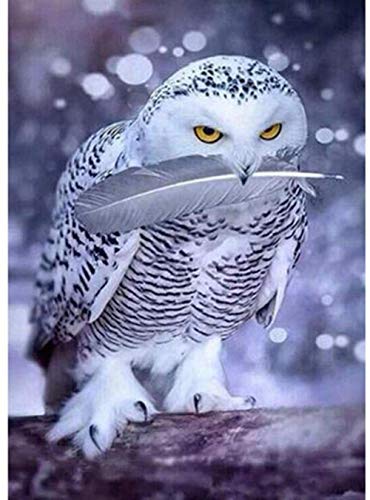 XINNeck 1000 Pieces Wooden Jigsaw Puzzle，Moon Owl Scenery Adults Jigsaw Puzzle Children Puzzles Creative Games Wooden Puzzle Toys Fashion von XINNeck