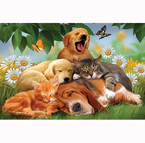 XINNeck 1000 Pieces Wooden Jigsaw Puzzle,Year of Sleep Cat and Dog Children Jigsaw Puzzle Adults Puzzles Creative Games Wooden Puzzle Toys elegant XINNeck 1000 Pieces Wooden Jigsaw Puzzle,Year of Sleep Cat and Dog Children Jigsaw Puzzle Adults Puzzles Creative Games Wooden Puzzle Toys elegant von XINNeck