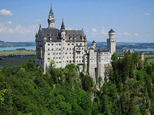 XINNeck Holzpuzzle 1000 stücke Lernspielzeug,Adult Child Puzzle Neuschwanstein Castle Geschenk Lernspielzeug für Kinder und Erwachsene XINNeck Holzpuzzle 1000 stücke Lernspielzeug,Adult Child Puzzle Neuschwanstein Castle Geschenk Lernspielzeug für Kinder und Erwachsene von XINNeck