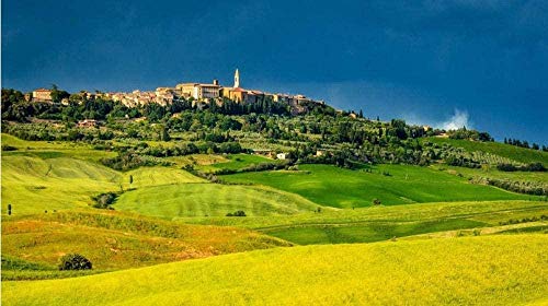 XINNeck Holzpuzzle 1000 stücke Lernspielzeug,Adult Child Puzzle Pienza Toskana Pädagogisches Spielzeug für Erwachsene von XINNeck