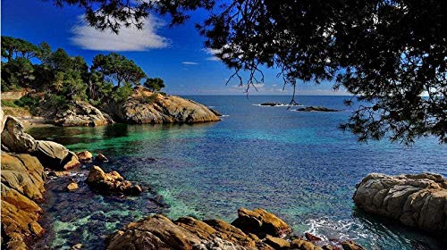 XINNeck Holzpuzzle 1000 stücke Lernspielzeug,Kreatives Puzzle Katalonien Mittelmeer Lernspielzeug für Erwachsene Kinder von XINNeck