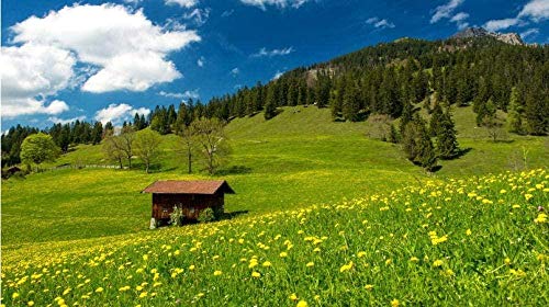 XINNeck Holzpuzzle 1000 stücke Lernspielzeug,Puzzle Landschaft Berge Hügel pädagogische Holzspielzeug für Erwachsene Kinder von XINNeck