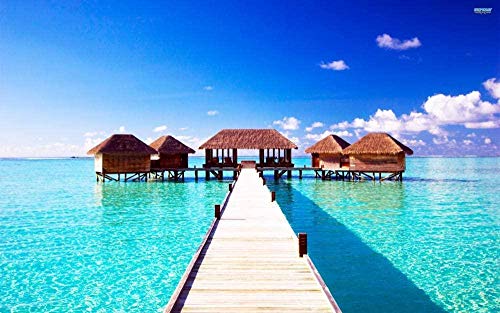 XINNeck Holzpuzzle 1000 stücke Lernspielzeug,Puzzle Ocean Federlandschaft Puzzle Weltlandschaft XINNeck Holzpuzzle 1000 stücke Lernspielzeug,Puzzle Ocean Federlandschaft Puzzle Weltlandschaft von XINNeck