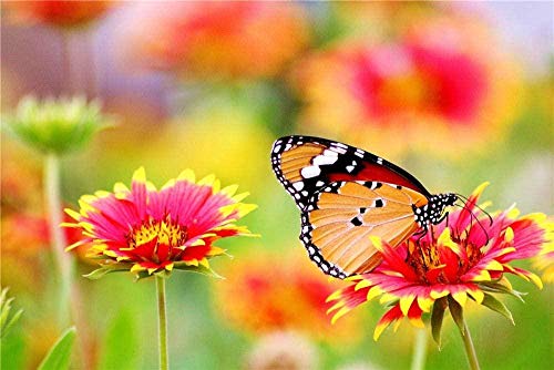 XINNeck Holzpuzzle 1000 stücke Lernspielzeug,Puzzle-Schmetterling thront auf Blumenkind Frühes Lerngeschenk von XINNeck
