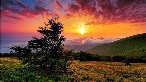 XINNeck Holzpuzzle 1000 stücke Lernspielzeug,Puzzle Sonnenuntergang Landschaft Das Holzpuzzle von XINNeck