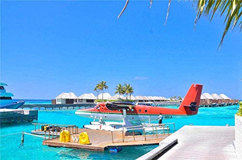 XINNeck Holzpuzzle 1000 stücke Lernspielzeug,von Puzzle weiß und rot Wasserflugzeug auf Wasser pädagogische Holzspielzeug für Erwachsene Kinder von XINNeck