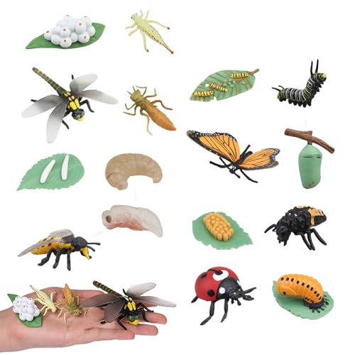 Lebenszyklus -Lernen Bildung Spielzeug, 4 Sätze Insekten Raupe zum Schmetterlings -Kit, Ladybug, Bienen -Kit -Lebenszyklusspielzeug für Kinder, Vorschullernaktivitäten für Alter von XJKLBYQ