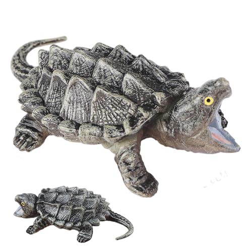 XJKLBYQ Schnappschildkröte 2.5x1.4x0.8 Realistische Schildkröten -Figuren Wildlife Model Tortoise -Spielzeug für Kid Boys Girls Tischdekoration, Figuren XJKLBYQ Schnappschildkröte 2.5x1.4x0.8 Realistische Schildkröten -Figuren Wildlife Model Tortoise -Spielzeug für Kid Boys Girls Tischdekoration, Figuren von XJKLBYQ