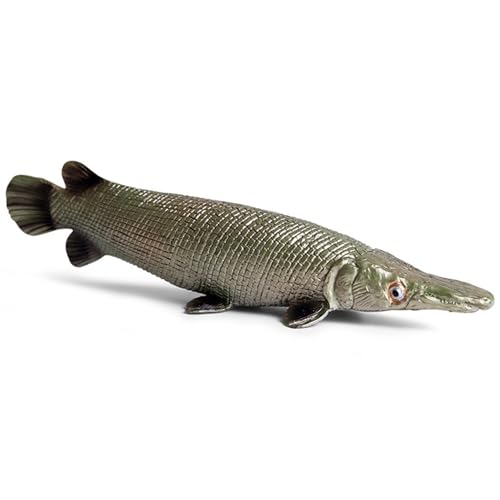 XJKLBYQ Sea Animal Toys Realistic Plastic Fish Tierfiguren simulierte Ozeanspielzeugmodell Dekoration frühe Bildungssee Kreaturen Spielzeug für Kinder Kleinkinder, Figuren XJKLBYQ Sea Animal Toys Realistic Plastic Fish Tierfiguren simulierte Ozeanspielzeugmodell Dekoration frühe Bildungssee Kreaturen Spielzeug für Kinder Kleinkinder, Figuren von XJKLBYQ