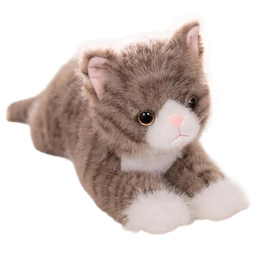 XJKLBYQ Stofftiere, Katze Plüsch, entzückende Lügen ausgestopfte Tiere, spielerische Leichtigkeit und Begleitkatze Spielzeug Plüsch für Zuhause, Auto, Reisen XJKLBYQ Stofftiere, Katze Plüsch, entzückende Lügen ausgestopfte Tiere, spielerische Leichtigkeit und Begleitkatze Spielzeug Plüsch für Zuhause, Auto, Reisen von XJKLBYQ