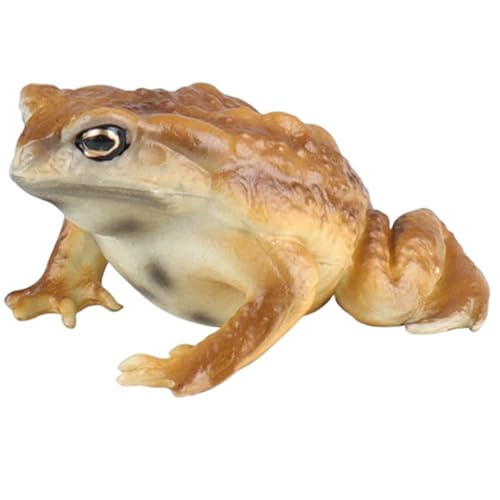 XJKLBYQ Toad Figur realistische simulierte Frosch- und Kröte Tierfiguren für Kinder pädagogische Tiermodell zum Geburtstag, Partybevorzugungen und Wissenschaftsprojekte, Bildungsspielzeug XJKLBYQ Toad Figur realistische simulierte Frosch- und Kröte Tierfiguren für Kinder pädagogische Tiermodell zum Geburtstag, Partybevorzugungen und Wissenschaftsprojekte, Bildungsspielzeug von XJKLBYQ