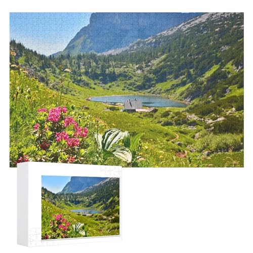 Puzzle für Erwachsene und Kinder ab 14 Jahren, 1000 StüCk， „Frühling im Hochgebirge“，Lernspielzeug FüR Kinder 52x38 Papier Puzzle von XJUfW