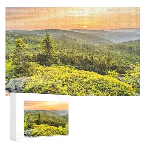 Puzzle für Erwachsene und Kinder ab 14 Jahren, 1000 StüCk，„Berggipfel des Lusen,Bayerischer Wald“ ，Lernspielzeug FüR Kinder 70x50，Papier Puzzle von XJUfW