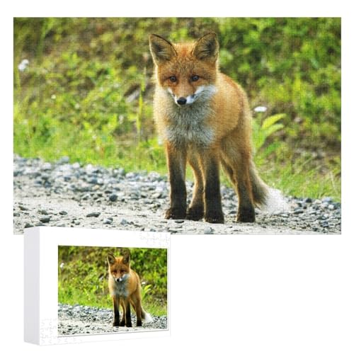 Puzzle für Erwachsene und Kinder ab 14 Jahren, 1000 StüCk，Fuchs Puzzle 1000 Teile ，，Lernspielzeug FüR Kinder 52x38 Papier Puzzle von XJUfW