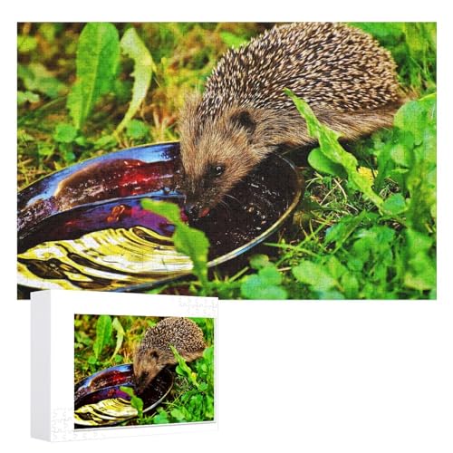 Puzzle für Erwachsene und Kinder ab 14 Jahren, 1000 StüCk，Igel Puzzle 1000 Teile，，Lernspielzeug FüR Kinder 75x50，Holz Puzzle von XJUfW