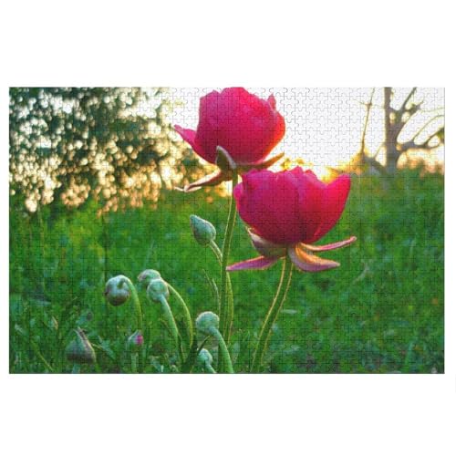 Puzzle für Erwachsene und Kinder ab 14 Jahren, 1000 StüCk,Red Flowers,,Lernspielzeug FüR Kinder 75x50,Holz Puzzle Puzzle für Erwachsene und Kinder ab 14 Jahren, 1000 StüCk,Red Flowers,,Lernspielzeug FüR Kinder 75x50,Holz Puzzle von XJUfW