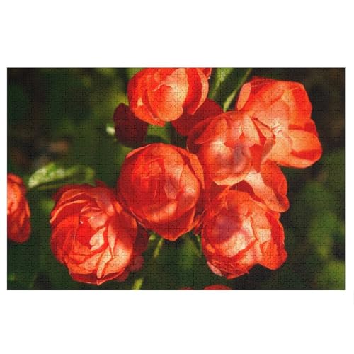 Puzzle für Erwachsene und Kinder ab 14 Jahren, 1000 StüCk，Roses Bloom, ，Lernspielzeug FüR Kinder 52x38 Papier Puzzle von XJUfW