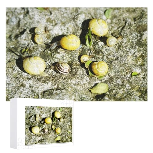 Puzzle für Erwachsene und Kinder ab 14 Jahren, 1000 StüCk,Schnecken Puzzle 1000 Teile ,,Lernspielzeug FüR Kinder 52x38 Papier Puzzle Puzzle für Erwachsene und Kinder ab 14 Jahren, 1000 StüCk,Schnecken Puzzle 1000 Teile ,,Lernspielzeug FüR Kinder 52x38 Papier Puzzle von XJUfW