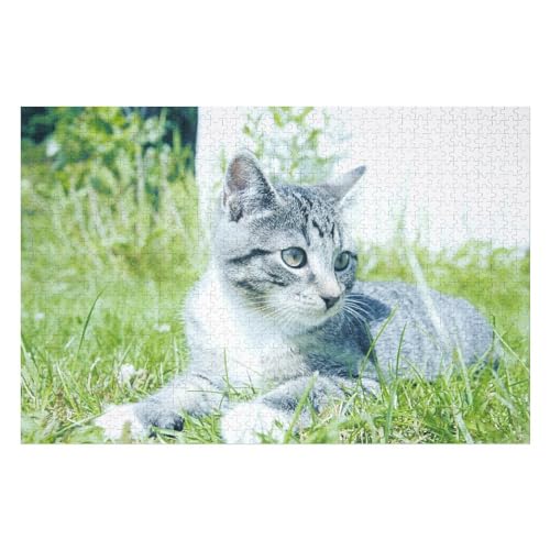 Puzzle für Erwachsene und Kinder ab 14 Jahren, 1000 StüCk，Süße Katze Puzzle，，Lernspielzeug FüR Kinder 38x26，Papier Puzzle von XJUfW
