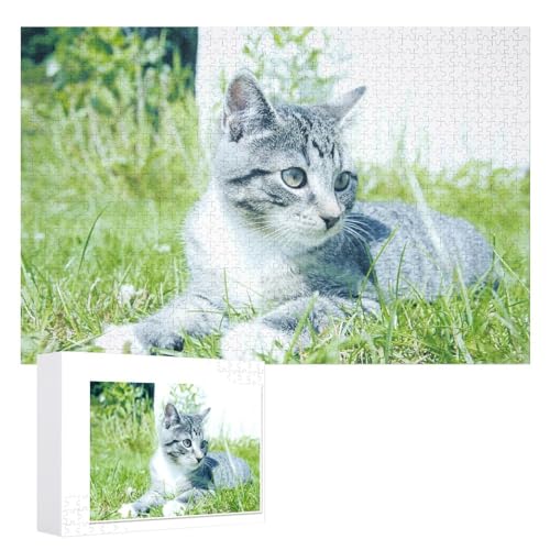 Puzzle für Erwachsene und Kinder ab 14 Jahren, 1000 StüCk，Süße Katze Puzzle，，Lernspielzeug FüR Kinder 52x38 Papier Puzzle von XJUfW