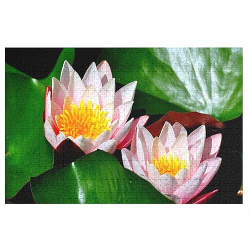 Puzzle für Erwachsene und Kinder ab 14 Jahren, 1000 StüCk,Water Lilies,Lernspielzeug FüR Kinder 52x38 Papier Puzzle Puzzle für Erwachsene und Kinder ab 14 Jahren, 1000 StüCk,Water Lilies,Lernspielzeug FüR Kinder 52x38 Papier Puzzle von XJUfW