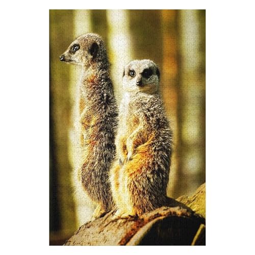Wohnkultur Geburtstag ,Challenging Games Moderne Lernspiel Stress Relief ,1000 StüCk,Erdmännchen Puzzle 1000 Teile,,Lernspielzeug FüR Kinder 52x38 Papier Puzzle Wohnkultur Geburtstag ,Challenging Games Moderne Lernspiel Stress Relief ,1000 StüCk,Erdmännchen Puzzle 1000 Teile,,Lernspielzeug FüR Kinder 52x38 Papier Puzzle von XJUfW