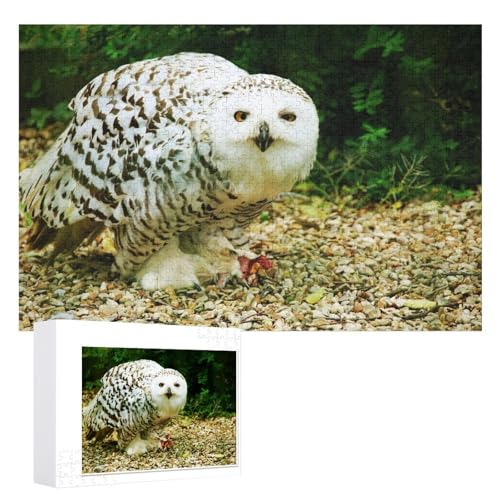 Wohnkultur Geburtstag ，Challenging Games Moderne Lernspiel Stress Relief ，1000 StüCk，Schnee-Eule Puzzle 1000 Teile ，，Lernspielzeug FüR Kinder 70x50，Papier Puzzle von XJUfW