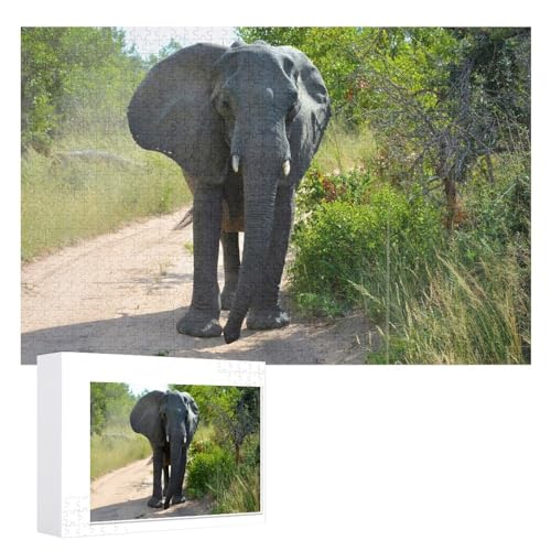 für Familie Freunde Dekorativ，1000 StüCk，Afrika Puzzle 1000 Teile ，，Lernspielzeug FüR Kinder 70x50，Papier Puzzle von XJUfW