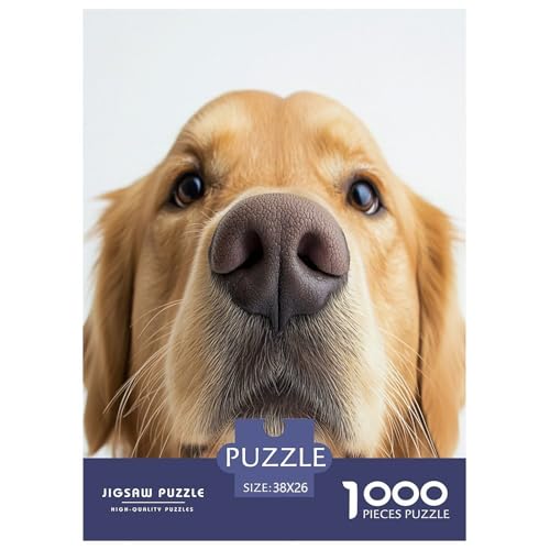 Puzzle Goldener Hund Geschicklichkeitsspiel Erwachsene Puzzles Pet Tieres Buntes Legespiel Puzzle 1000 Teile Herausforderndes Geschicklichkeitsspiel Für Die Ganze Familie 38x26cm/1000pcs von XKASKDFKE