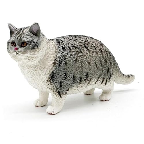 XLWLLNJ Kurzhaarkatze Figur Miniatur Tier Figur für Tisch XLWLLNJ Kurzhaarkatze Figur Miniatur Tier Figur für Tisch von XLWLLNJ
