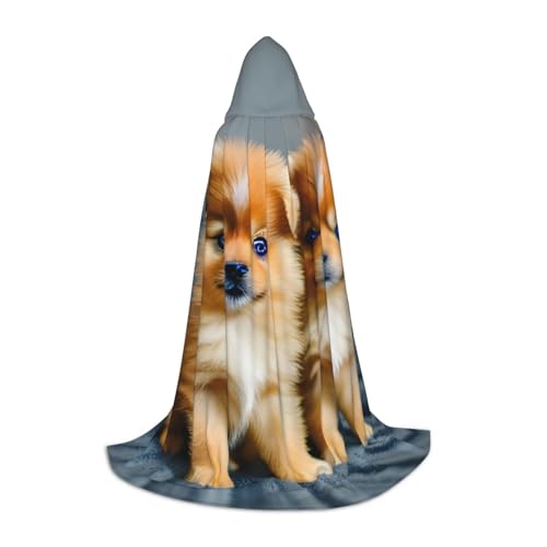 XTYGETY Kapuzenumhang mit Zwergspitz-Motiv, perfekt für Halloween, Cosplay-Kostüme XTYGETY Kapuzenumhang mit Zwergspitz-Motiv, perfekt für Halloween, Cosplay-Kostüme von XTYGETY