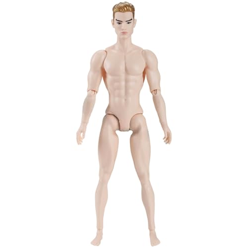 XUEYEGONGJI 1/6 Skala -Aktionsfigur Multi -Gelenk -Fähigkeit männlicher Muskelaktion Figure Körper mit Kopf für Display -Puppensammlung, weiße, benutzerdefinierte Figuren von XUEYEGONGJI