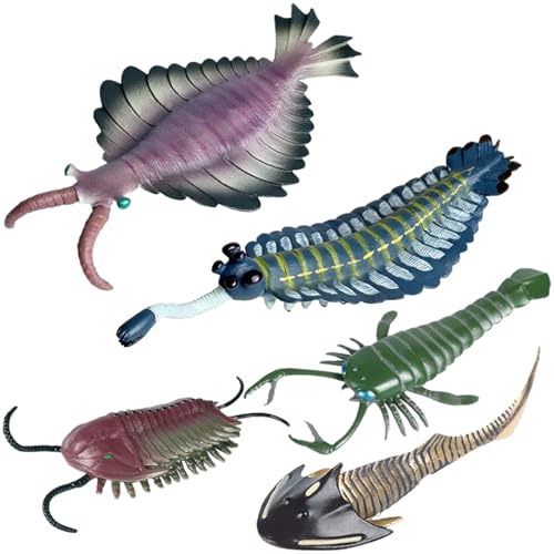 XUEYEGONGJI 5pcs Tierfiguren Set, kambrianer antiker Organismus Tierfiguren Realistische plastische Bildungspädagogik -Spielzeug -Geburtstagsgeschenkkuchen Topper für Kinder Jungen Mädchen, Spielzeug XUEYEGONGJI 5pcs Tierfiguren Set, kambrianer antiker Organismus Tierfiguren Realistische plastische Bildungspädagogik -Spielzeug -Geburtstagsgeschenkkuchen Topper für Kinder Jungen Mädchen, Spielzeug von XUEYEGONGJI