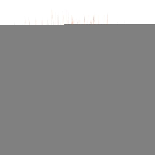 XUQEAYWD Haariges Stirnband,Troll Haarstirnband, Halloween-Kostümzubehör, Haarstirnband, jubelnde Requisiten, bequeme Kopfbedeckung für Veranstaltungen und Halloween-Cosplay XUQEAYWD Haariges Stirnband,Troll Haarstirnband, Halloween-Kostümzubehör, Haarstirnband, jubelnde Requisiten, bequeme Kopfbedeckung für Veranstaltungen und Halloween-Cosplay von XUQEAYWD