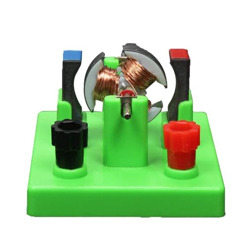 DIY-Bausatz für Gleichstrommotor - Mint Wissenschaftslabor, pädagogisches Physik-Lern- und Experimentierspielzeug für Kinder, Elektromotor 1 (Grün) von XUSANSO