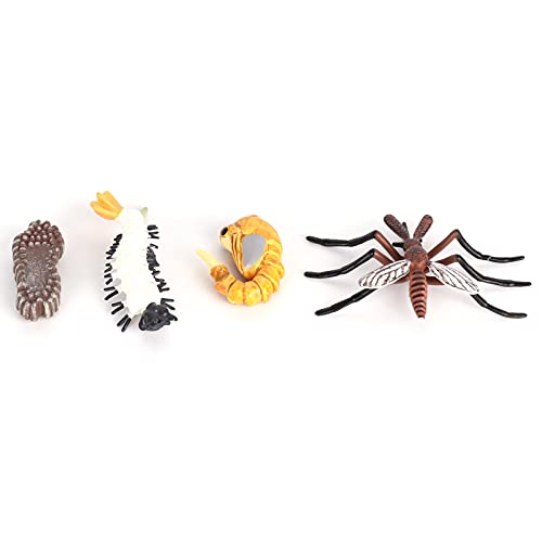 XUXHOU Insektenlebenszyklus, Figuren Mücken Figuren Antwachstum Modell Spielzeug Bildungsmücken Lebenszyklus für Schulprojekte Wissenschaftswissenschaftlerlernen (M4184 Mücke (31,6 g)) von XUXHOU