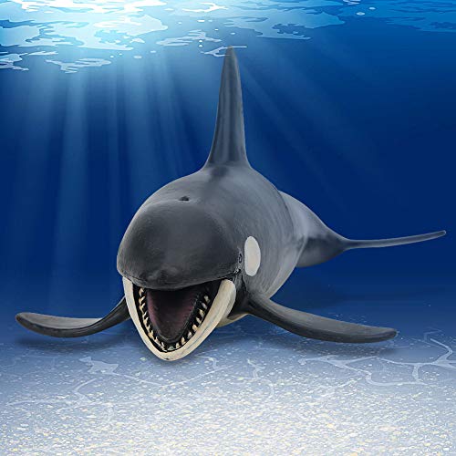 XUXHOU Modell-Killerwale, Mini-Figuren, Dekoration, Statuen, Wohnkultur, Gastgekenke, Spielzug, Geburtstagsgedenk für und XUXHOU Modell-Killerwale, Mini-Figuren, Dekoration, Statuen, Wohnkultur, Gastgekenke, Spielzug, Geburtstagsgedenk für und von XUXHOU