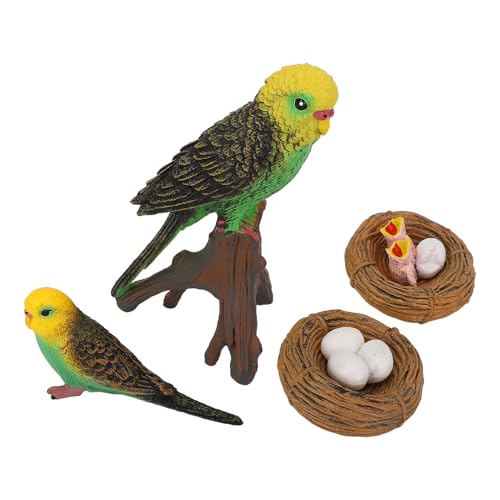 XUXHOU Realistische Papageiskulptur, 4 PCs Tiere Modell Abbildung Simuliertes Papageienmodell Bildungsspiel für Home Office Party Dekoration von XUXHOU