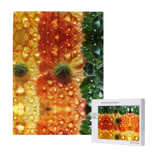 Erwachsenenpuzzle 500 Teile - Foto Level Bild Puzzle, perfekte Herausforderung für Familie und Freunde von XVFLOREG
