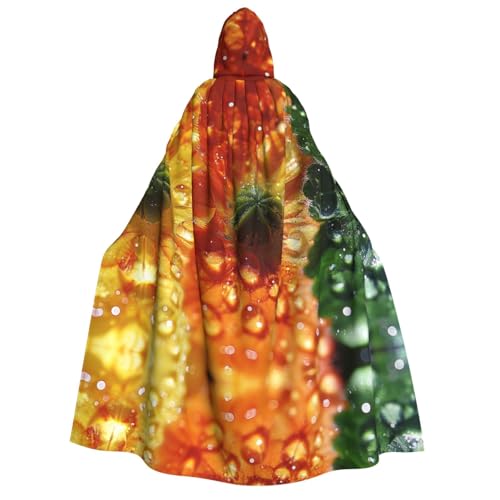 Xvfloreg Regenbogen-Kaktus-Kapuzenumhang, High-Definition-bedruckter neutraler Kapuzenumhang, Rollenspiel-Kostüm Xvfloreg Regenbogen-Kaktus-Kapuzenumhang, High-Definition-bedruckter neutraler Kapuzenumhang, Rollenspiel-Kostüm von XVFLOREG