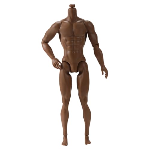 XVHOAB 1/6 Skala -Aktions -Abbildung, 6 Multi -Gelenk -Bewegbare männliche muskulöse Actionfigur Körper für Display -Sammlung, Brown XVHOAB 1/6 Skala -Aktions -Abbildung, 6 Multi -Gelenk -Bewegbare männliche muskulöse Actionfigur Körper für Display -Sammlung, Brown von XVHOAB